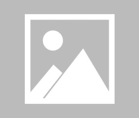 图集-首届嘉兴周懒予杯全国新锐赛第2日现场